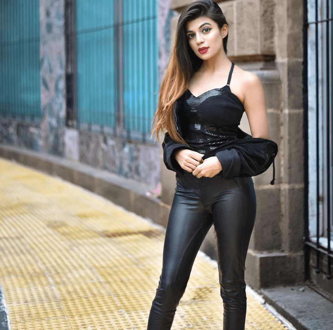 shimla escorts service